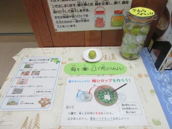 食育コーナー