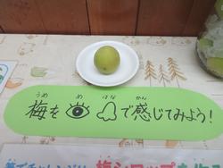食育コーナー