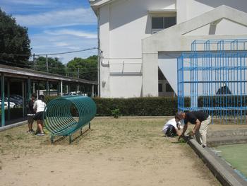 ピカピカウィーク