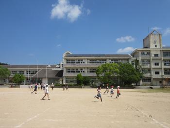 しっぽとり