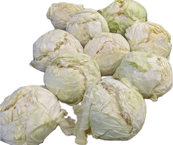 キャベツ