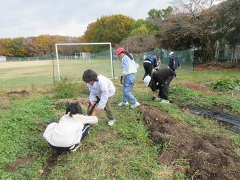 クリーン大作戦