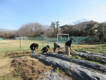 クリーン大作戦