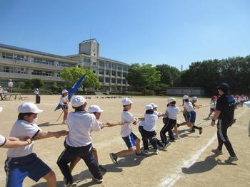 なかよしフェスティバル(運動会)の練習