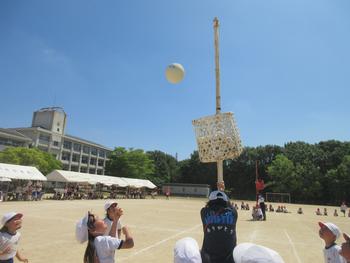なかよしフェスティバル