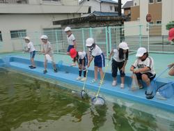 6月学校通信