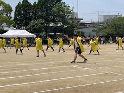 ソーランを舞い踊る6年生