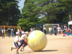 友だちと協力しながら大玉を運ぶ2年生