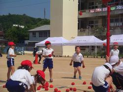 玉入れをする1年生