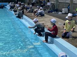 ペットボトルに水を入れる3年生