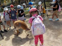 動物と触れ合う1年生