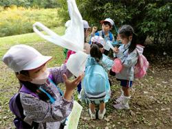 木の実を集める様子