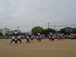 5，6年2