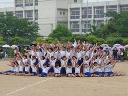 5，6年3