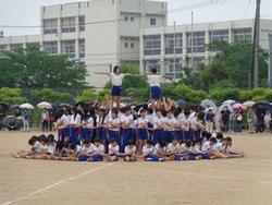 5，6年4