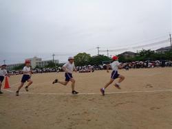 5年