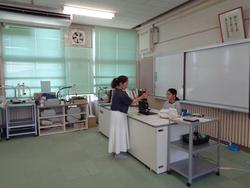 6年