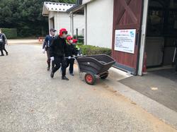 厩舎作業