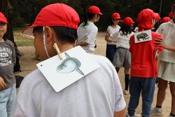 ネイチャーゲーム