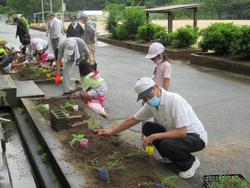 花植え
