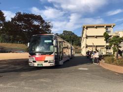 バス
