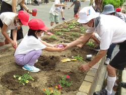 花植え