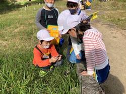 草地の生態園