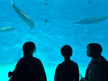 宮島水族館を見学する児童(2)
