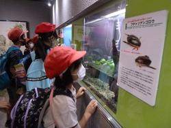 校外学習