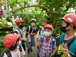 校外学習