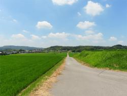 旅5