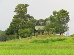 旅18