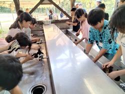 焼き板2