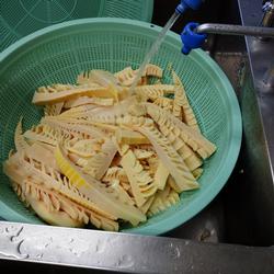 筍