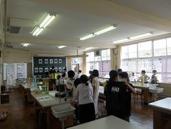 作品展
