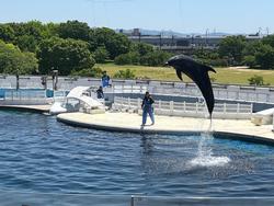 水族館(4)