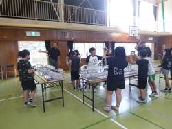 5年生