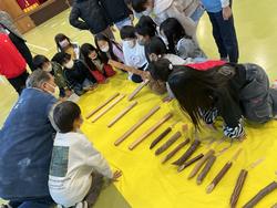 たくさんの木材