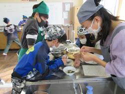 調理実習