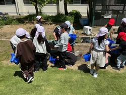 友だちと協力して植えます