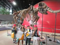 人と自然の博物館見学