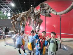 人と自然の博物館見学