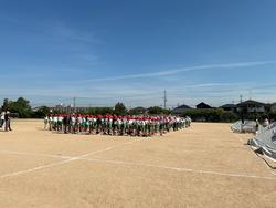 1年生