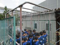 シャワーの様子