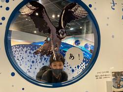 サークル