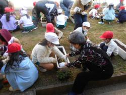 友愛クラブのみなさんと花植え1年生