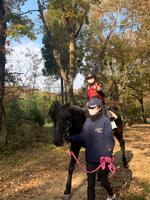 乗馬