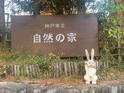 自然の家