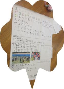 ヤゴ