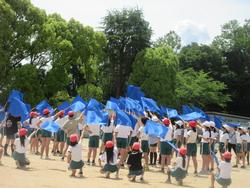 集